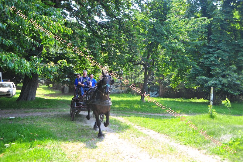 DSC_0894.JPG